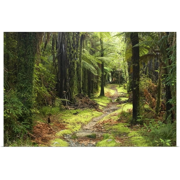 Great BIG Canvas | "Fox River, Paparoa National Park, West Coast, South Island, New Zealand" Art Print - 30x20