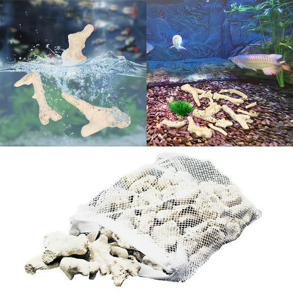 Home Decor Garneck 3 10Cm 500G Crushed Coral For Freshwater Saltwater Aquarium Natural Coral Stone For Fish Tank Filters Aquarium Bottom Decorations (Random Color) Aquarium Accessories