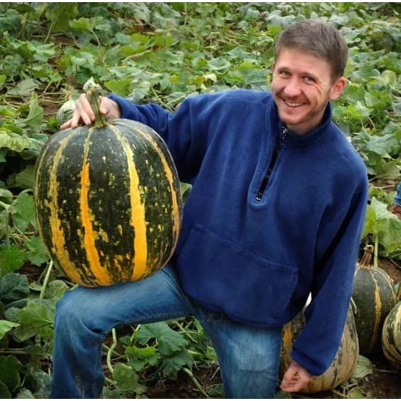 Giant Goblin Pumpkin Seeds for Planting (10 Seeds) Tours Pumpkin