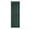Green, variant on Perfect Shutters IR521551007 Premier Raised Panel Exterior Decorative Shutters Dark Gray - 15 x 51 in.