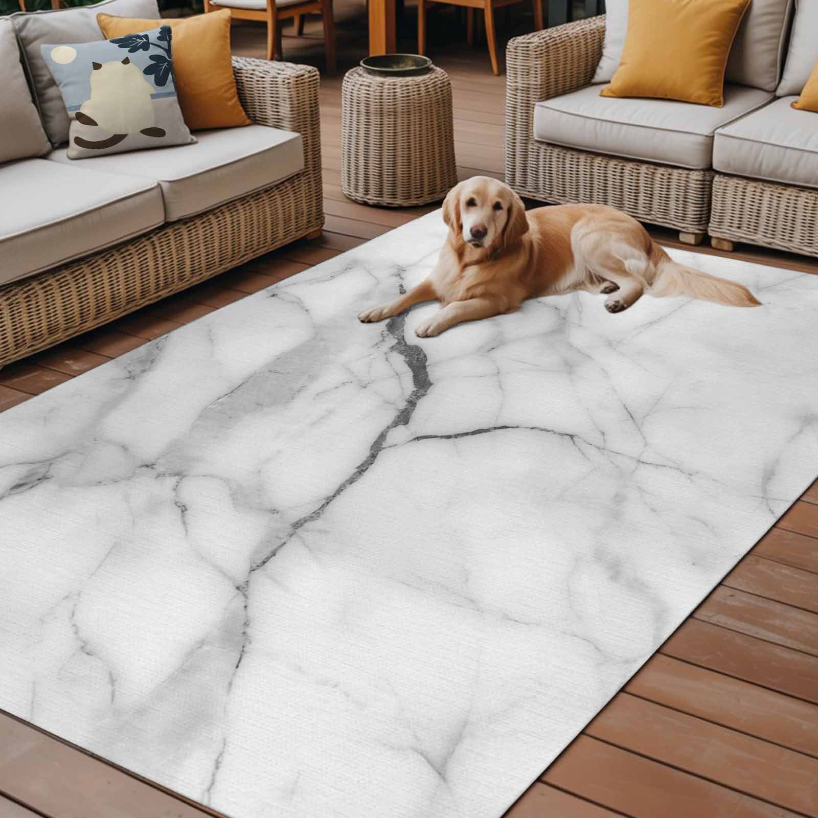 Outdoor Rug 5x8ft White Marble Large Area Rug Modern Abstract Art Indoor Outdoor Carpet Outdoor Rugs Mats for Patio Camping,RV,Front Door, Outside Decor