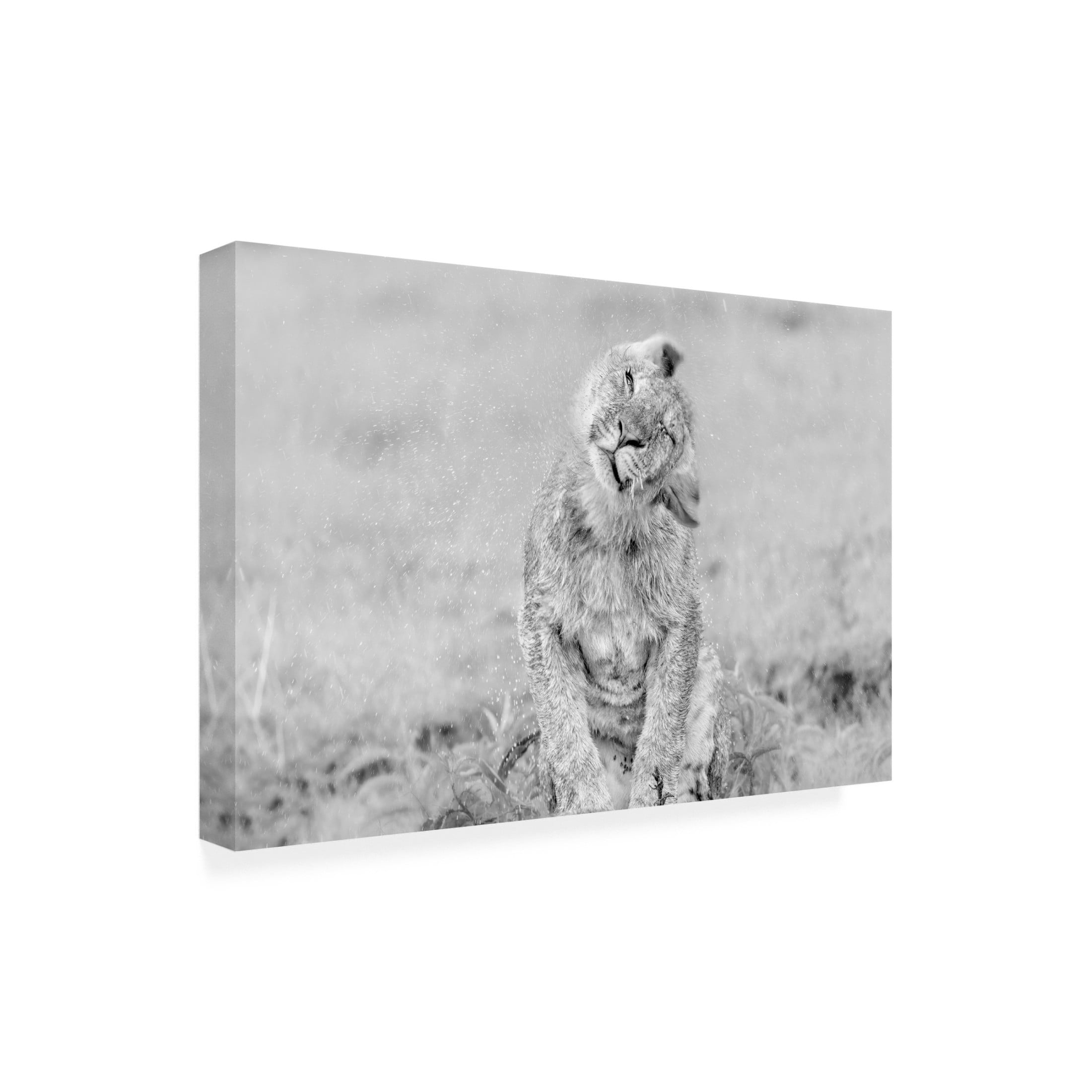 Trademark Fine Art Jun Zuo In the Rain Canvas Wall Art
