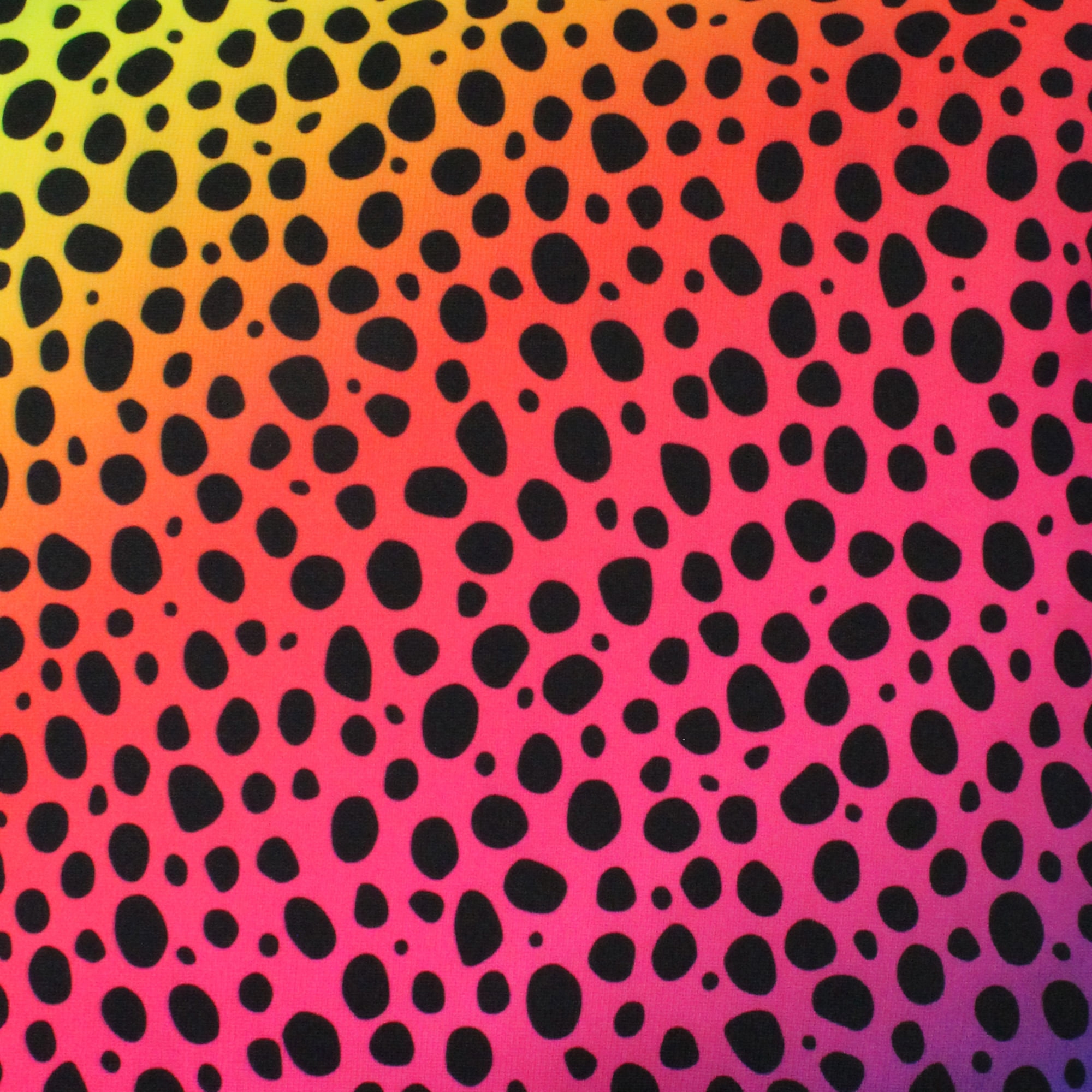Everything Comfy Cheetah Print Decorative Throw Pillow, 16x16 Inch, Rainbow Gradient,