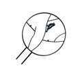 thumbnail image 1 of kurtrusly Plants Climbing Holder Rack Potted Flower Decorative Rack Sturdy Durable Plant Support Black 30cm, 1 of 9