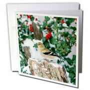 3dRose, American Goldfinch on stump near China Holly in winter, Marion, IL, 12 Greeting Cards with envelopes