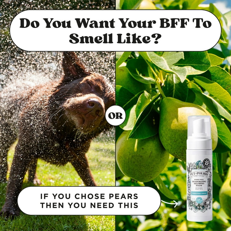 Pet-Pourri Rinse-Free Dry Shampoo, Pineapple photo 8