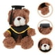 thumbnail image 5 of Oso de peluche de graduación, osito de peluche con birrete, regalo de graduación, 5 of 7