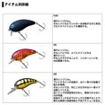 thumbnail image 2 of DAIWA Bus Gros Cacahuètes 2 Leurre Rose Clair SSR, 2 of 5