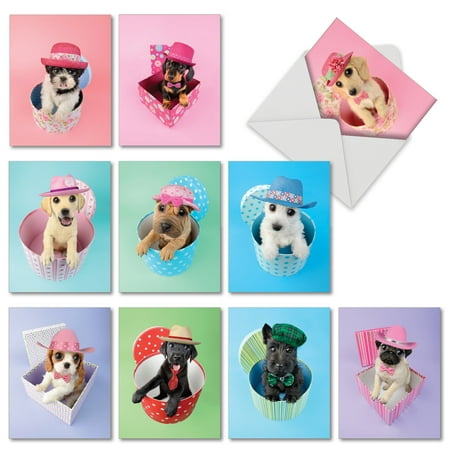 M2955BDG HAT DOGS' 10 Assorted Birthday Note Cards Featuring Big Eyed Dogs Wearing Hats Coming Out of Presents, with Envelopes by The Best Card (Best 50th Birthday Presents)