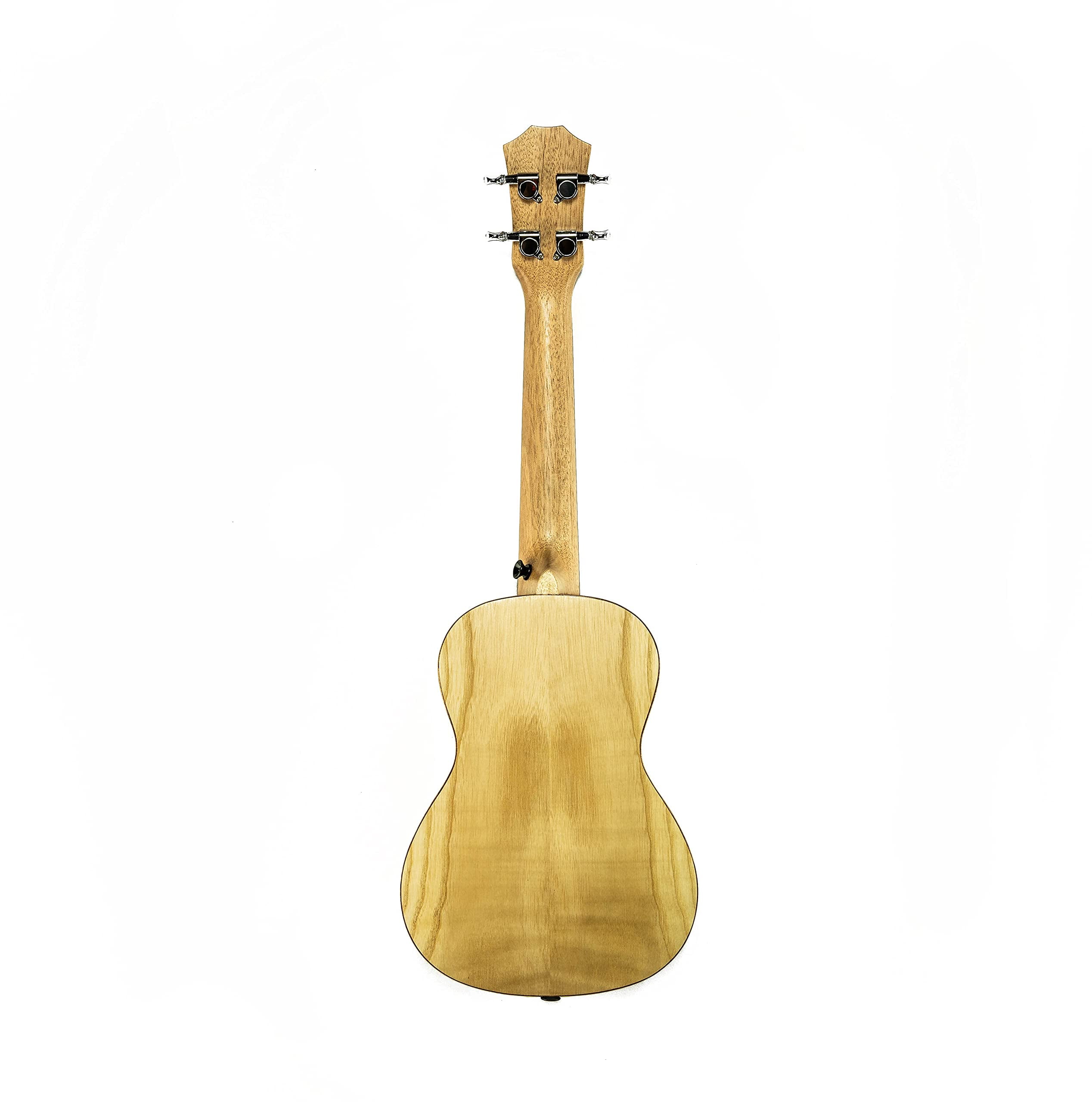 Barcelona Solid Top Ash Wood Concert Ukulele Bundle with Gig Bag, Tuner, Stand, Strap, Austin Bazaar Instructional DVD, and Polishing Cloth