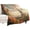 style, variant on Blossoming Paris Eiffel Tower Throw Blanket for Women, Men & Kids - Super Soft Plush Blanket Throw Fleece Blanket Animal Blanket