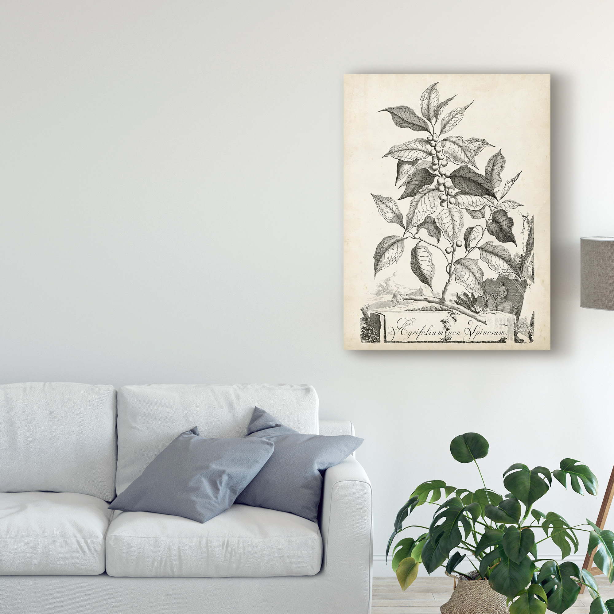 Trademark Fine Art 'Scenic Botanical III' Canvas Art by Abraham Munting