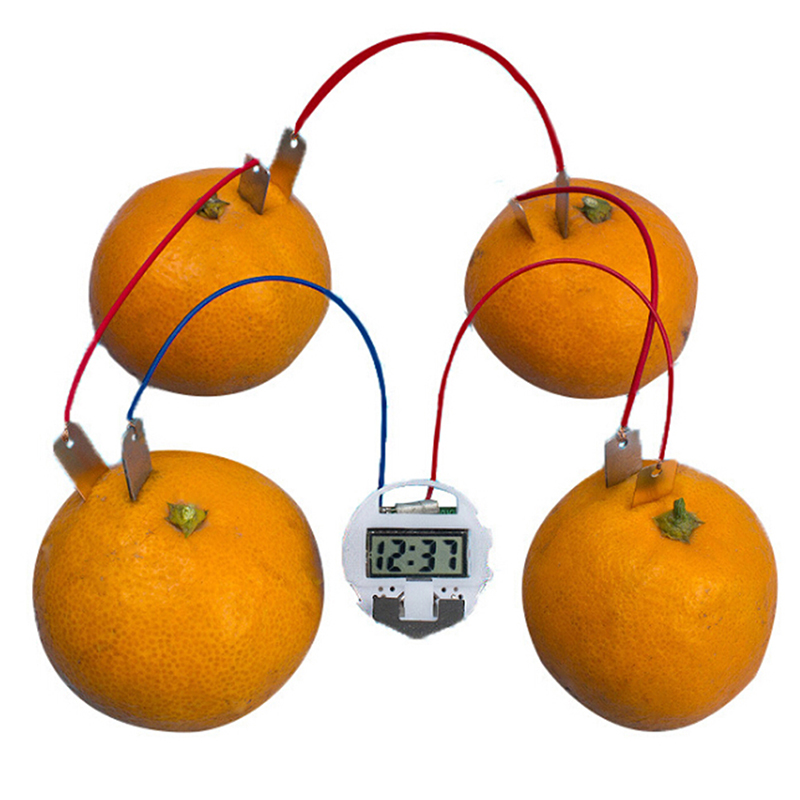 MageCrux 1 Set children bio energy science kit fruit supply electricity