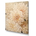 thumbnail image 2 of Designart "Muted Colors Adorning A Minimalist Painting Of Mums II" Mums Wall Art Prints, 2 of 7