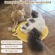 thumbnail image 4 of Rascador para Gatos de Cuerda de algodón Natural, Redondo de 43 cm para Pared y Suelo, Protector Duradero para sofá, Alfombra y sofá, ecológico (Amarillo), 4 of 9