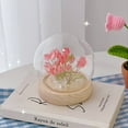 thumbnail image 2 of Tignapoo DIY Pink Tulip Night Light Kit - 13-Piece Glass Flower Lamp with Wooden Base, LED Lights, and AA Battery Power - Creative Home Decor Project, 2 of 6