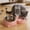 Pink#149, variant on 2-in-1 Pet Feeder and Water Dispenser, Removable Stainless Steel Food Bowl with Automatic Siphon Waterer, Gravity Dog and Cat Feeding Station, Mess-Free Dual Pet Bowl Set, 11"