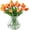 nature, variant on Tulips Artifical Flowers Real Touch Faux Tulip Stems PU Tulip Bouquet for Home Office Easter Spring Wreath Wedding Centerpiece Floral Arrangement Cemetery Table Decor