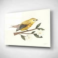 thumbnail image 2 of Epic Art 'Birds and Blossoms I' by Courtney Prahl, Acrylic Glass Wall Art, 16"x12", 2 of 3