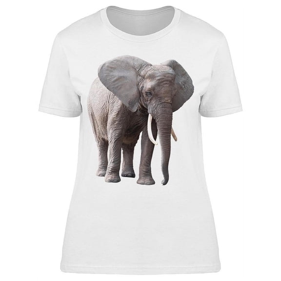 Elephant Beautiful Side Tusks T-Shirt Women -Image by Shutterstock, Female Medium
