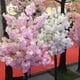 thumbnail image 4 of Artificial Cherry Tree Interior Decoration Wishing Tree Simulation Plant 1.2m 1.5M 1.8M Wedding Part Home Decoration Supplies My Lux Decor Round, 4 of 8