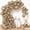 Champagne Gold, variant on 153 Pcs Chrome Gold Balloons Arch Garland Kit, Different Sizes 18 12 10 5 Inch Metallic Champagne Gold Balloons for Retirement Graduation Casino Wedding Men Birthday Shower Party Decorations