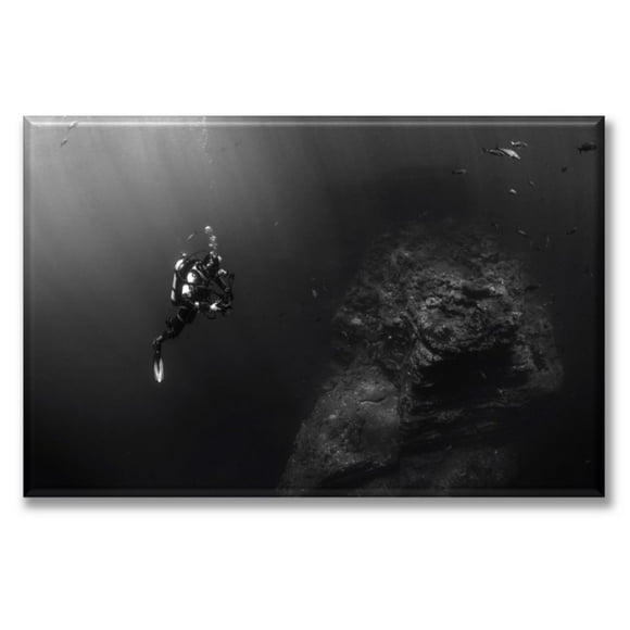 Cuadro Canva Listo Para Colgar Tipo Galería Pixtreats Modelo Buzo 50X75 cm