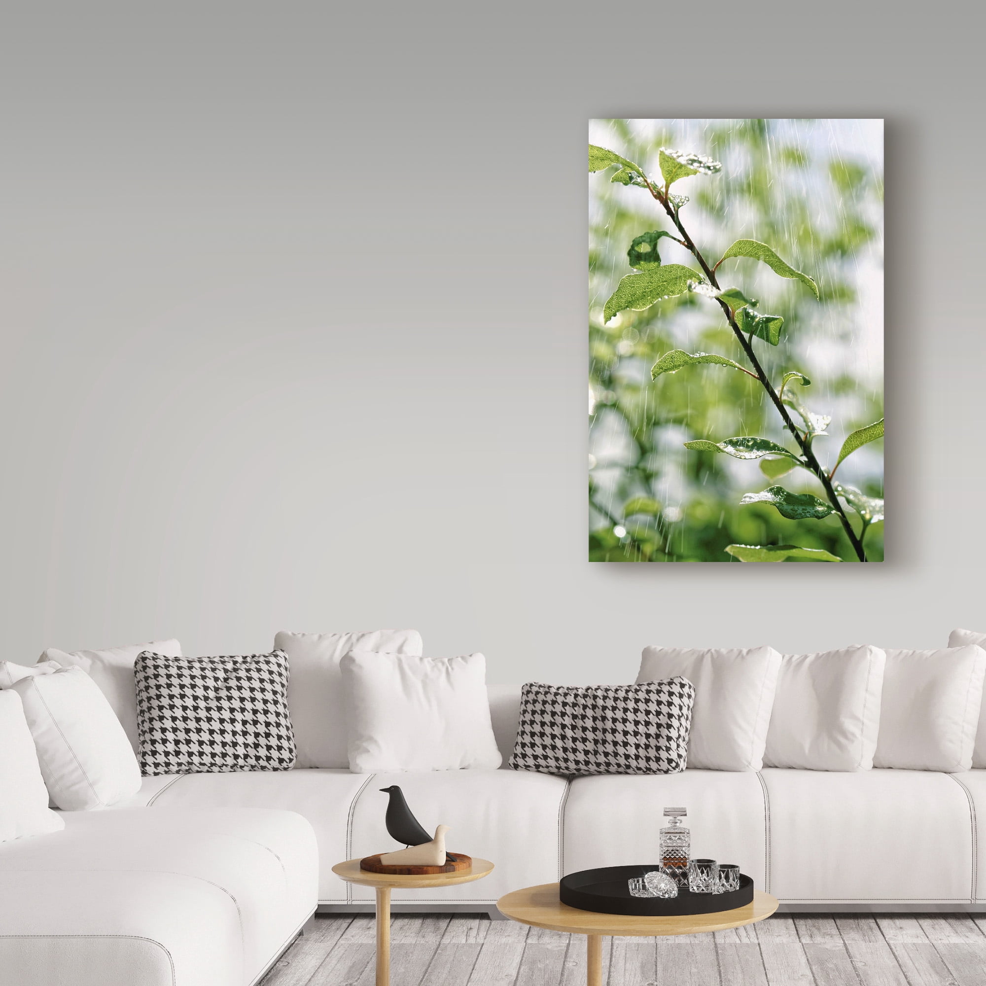 Trademark Fine Art 'Plants In Rain' Canvas Art by Incredi