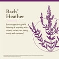 thumbnail image 3 of Bach Flower Essences Heather | Brezo 20 ml (0,7 oz. líq.), 3 of 6