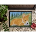 thumbnail image 3 of Carolines Treasures SS8016MAT 18 x 27 in. Basenji Indoor Outdoor Mat, 3 of 4