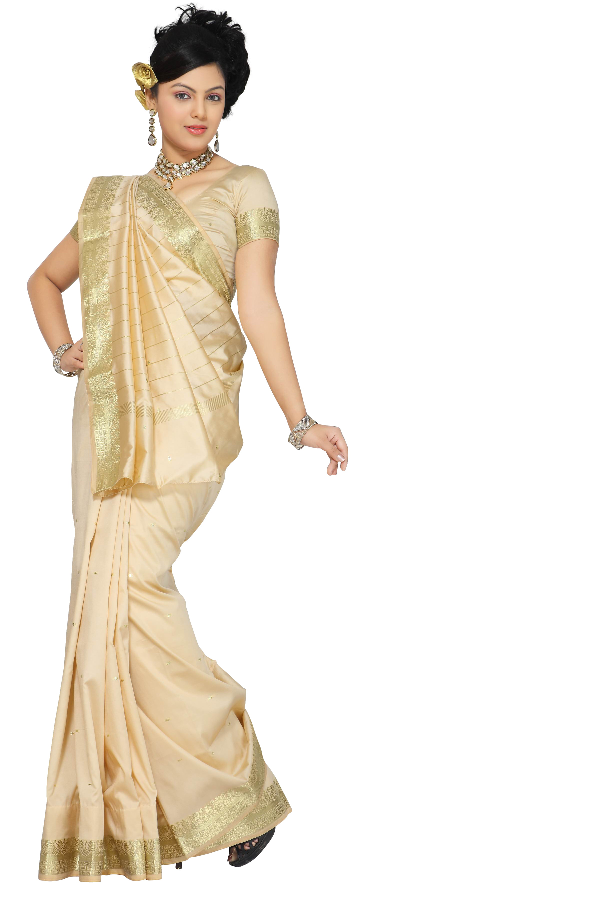 Indian Full embroidery saree With Golden Border,& Come With Readymade Blouse