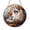 Acrylic 3.5 Inch, variant on Fantasy Cat Reading Book Stained Glass Window Decor – Handmade Library Hanging Art