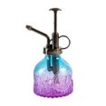 thumbnail image 1 of Vidrio Mister Spray Bottle 200Ml Vintage Plant Spray Regadera Plant Mister Glass Riego Herramienta De Jardín Yuarrent HA039513-05, 1 of 4