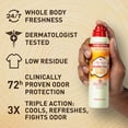 thumbnail image 3 of Desodorante en aerosol Old Spice para todo el cuerpo de los hombres, 100 ml, 3 of 8