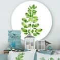 thumbnail image 1 of Designart - Moringa Branch Tropical Tree Foliage - Farmhouse Metal Circle Wall Art, 1 of 5