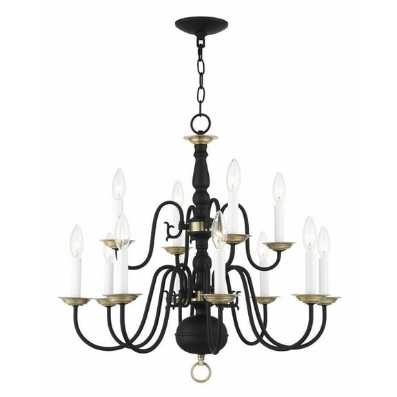 Traditional Twelve Light Chandelier-Black Finish Bailey Street Home 218-Bel-4188775