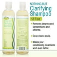 thumbnail image 2 of Nothing But Shampooing Clarifiant Détox Sans Sulfate pour Cheveux Naturels - Shampooing pour Cheveux - Sans Parfum - Élimine les Accumulations - 12oz - Lot de 2, 2 of 5