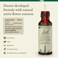 thumbnail image 2 of Esencia floral Bach Original Agrimony, 10 ml, vegana, sin gluten, 2 of 5