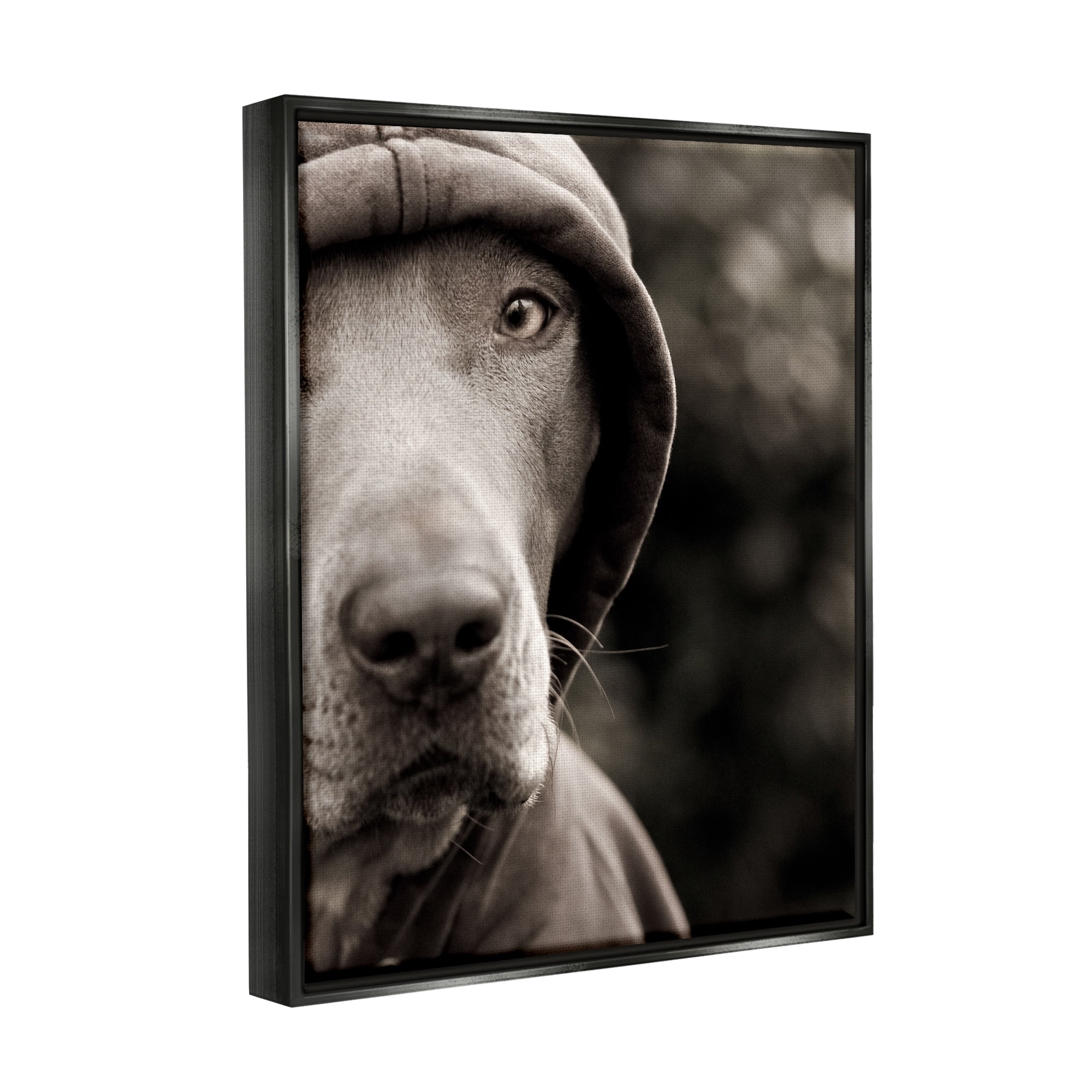 Stupell Industries Dog Wearing Hooded Sweater Close-Up Monochrome Photography Photograph Jet Black Floating Framed Canvas Print Wall Art, Design by Michael Brian