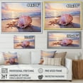 thumbnail image 4 of Designart "Coastal Treasures Sunset Seashell Collection II" Coastal Framed Wall Art - Coastal Blue Coastal Beach Hallway Framed Wall Art Decor, 4 of 6