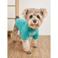 thumbnail image 1 of Slogan Graphic Pet Tee, 1 of 4