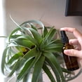 thumbnail image 3 of 10 Pack Empty Amber Glass Spray Bottles, 4 Ounce Refillable Container for Essential Oils, Cleaning Products, or Aromatherapy, 3 of 4