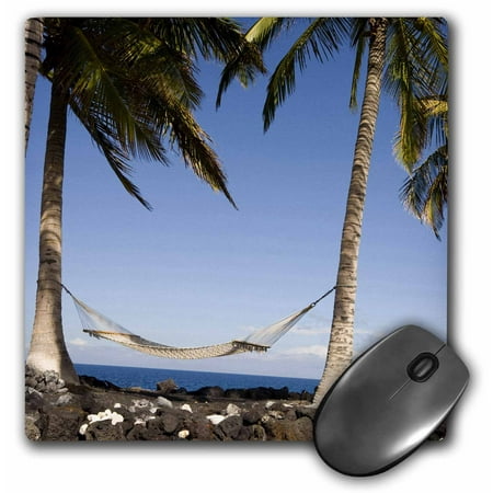 Kona Office Supply 3dRose Hawaii, Kona Village, Hammock Between Two Palm Trees - US12 RCA0009 - Rob Casey, Mouse Pad, 8 by 8 inches ()