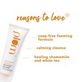 thumbnail image 3 of Plum Chamomile & White Tea Revival Face Wash | Mild Cleanser | For Normal, Dry, Combination Skin, 120ml, 3 of 5