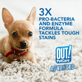 thumbnail image 3 of Out Advanced Pro-Bacteria Dog and Cat Stain and Odor Remover - 32oz., 3 of 7