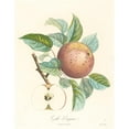 thumbnail image 2 of Louis Bocquet 20x24 Black Ornate Framed Double Matted Museum Art Print Titled: Gay, 2 of 5