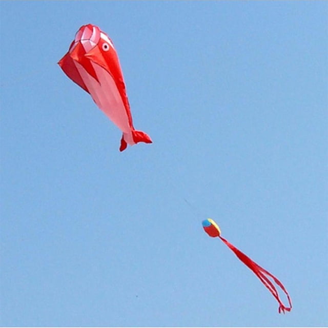 3D Sin Marco Suave Parafoil rojo shamjiam Cometa delfín