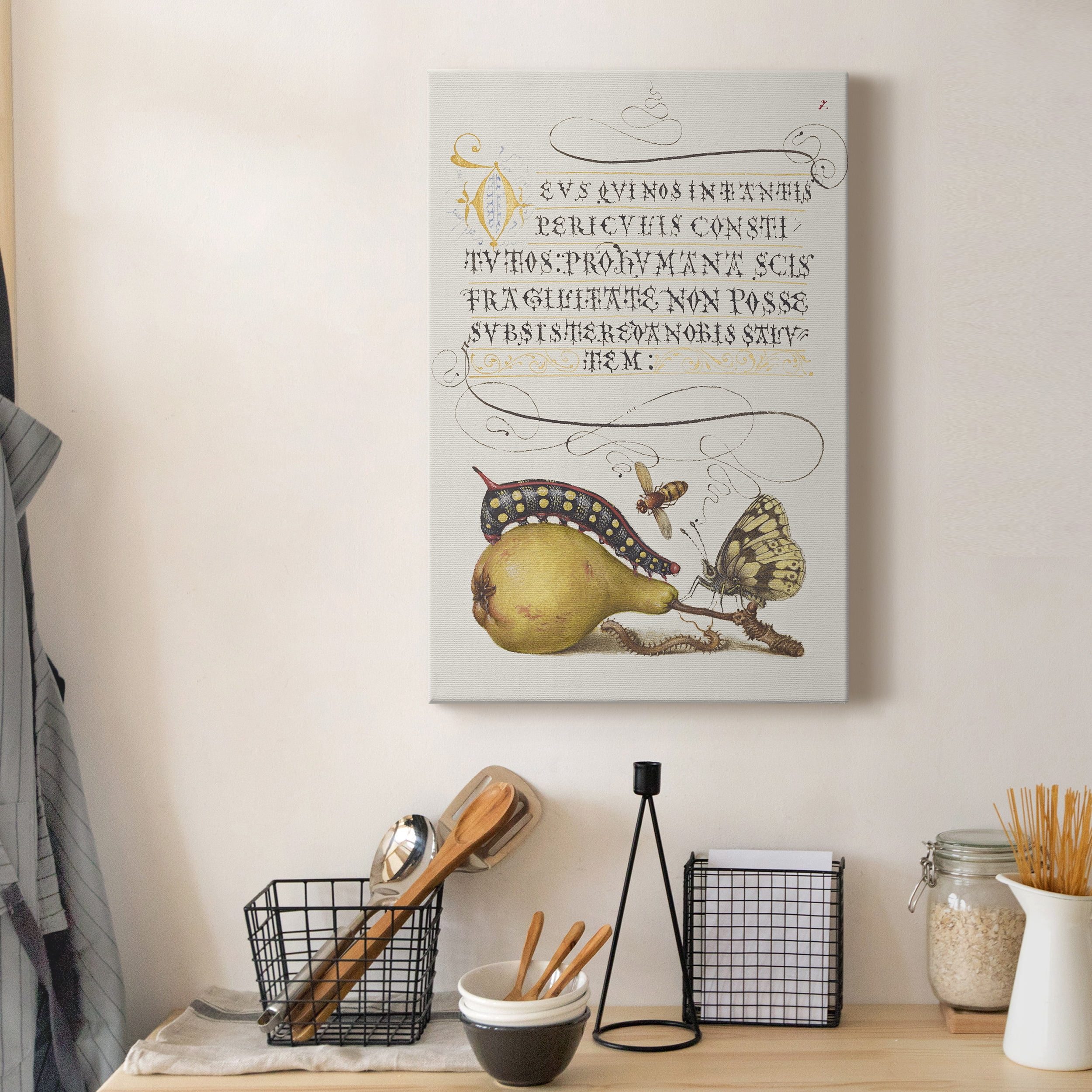 Fly, Caterpillar, Pear, and Centipede Premium Gallery Wrapped Canvas - Ready to Hang - 40 x 60