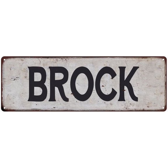BROCK Vintage Look Rustic Chic Metal Sign 6x18 106180036257