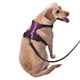 thumbnail image 2 of Fotbe Thunderstorm Violet Purple Arnés para Perro con Estampado –Chaleco Ajustable Acolchado con Asa de Control para Perros Grandes-Small, 2 of 6